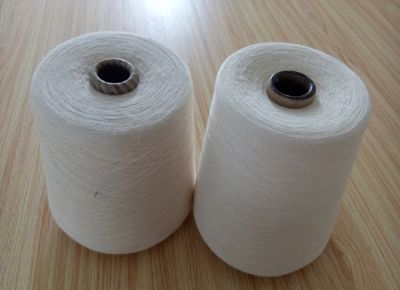 点击查看详细信息<br>标题：混纺纱 阅读次数：10878