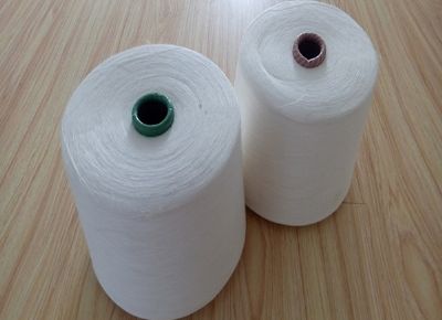 点击查看详细信息<br>标题：竹纤维纱 阅读次数：10096