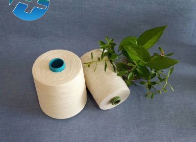 点击查看详细信息<br>标题：雪花纱 全棉麻灰雪花纱  AB雪花纱 TCR雪花纱 阅读次数：4442