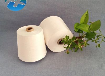 点击查看详细信息<br>标题：羊毛粘胶混纺纱 涤粘混纺 天丝粘胶纱 亚麻粘胶纱 阅读次数：2883